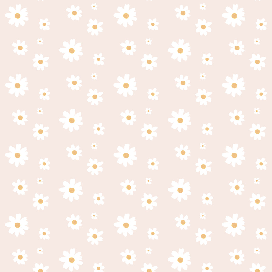 Pink Daisy Wallpaper (61+ images)