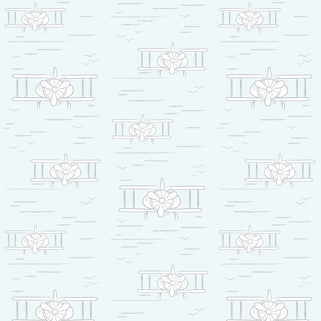 Sample Planes Light Blue Wallpaper